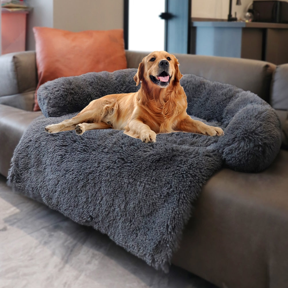 BedToPet™- Protection canapé pour chien. – PAYETIK
