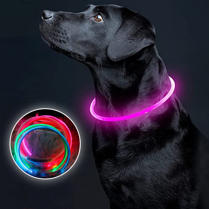Lumidog™- collier lumineux LED pour chien.
